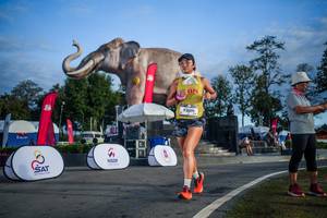 BIB: 
                            <button type="button" onclick="openModal(26541913)" class="btn btn-primary btn-sm float-right btn-popup" data-toggle="modal" data-target=".modal-high-quality">
                        <i class="fas fa-shopping-cart"></i> Add to Cart
                    </button>
                                            <button type="button" onclick="isThisMe(26541913, true)" class="btn btn-success btn-sm float-right btn-popup btn-isme hidden" data-toggle="tooltip" data-placement="bottom" title="นี่คือรูปของคุณใช่ไหม คลิกที่นี่เพื่อเอาเข้าอัลบั้ม">
                        <i class="fas fa-plus"></i> Add to album
                    </button>
                    <button type="button" onclick="isThisMe(26541913, false)" class="btn btn-warning btn-sm float-right btn-popup btn-isnotme hidden">
                        <i class="fas fa-ban"></i> Remove from album
                    </button>